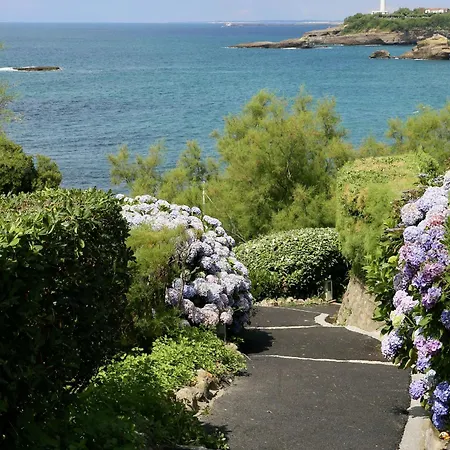 Apartment Spacieux Et Renove Au Coeur De Biarritz, A Deux Pas De La Et Des Commerces - Fr-1-239-802 Biarritz